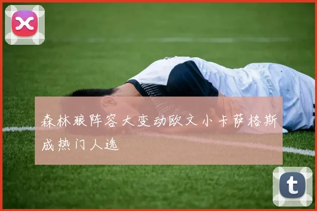 森林狼阵容大变动欧文小卡萨格斯成热门人选